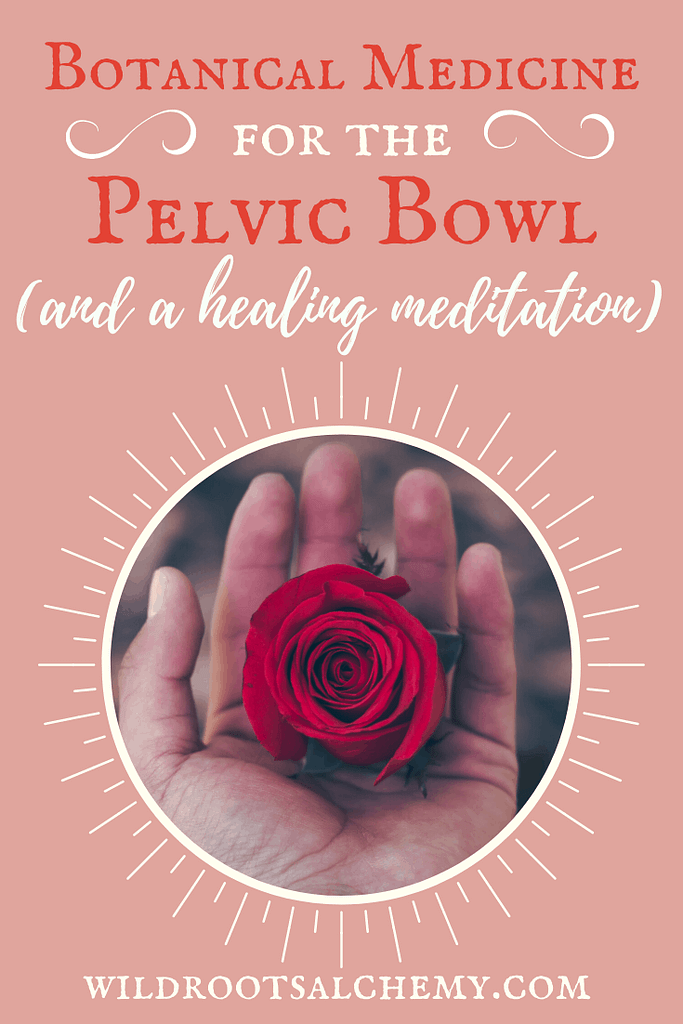 pelvic floor botanical medicine