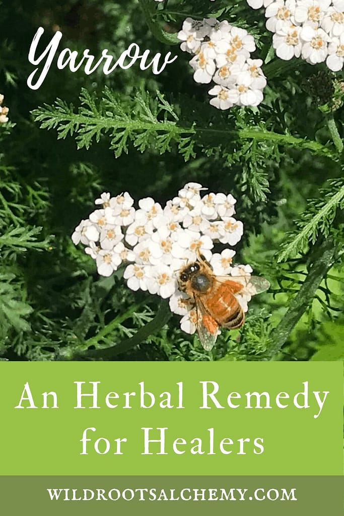 Yarrow bee