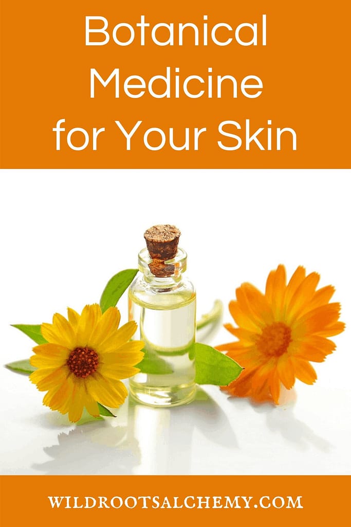botanical medicine for your skin skincare for acne